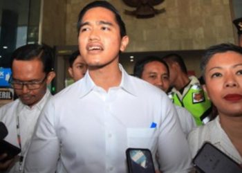 Pakar Hukum UI Kritik Pernyataan KPK Soal Gratifikasi Kaesang, Serukan Koreksi Keputusan