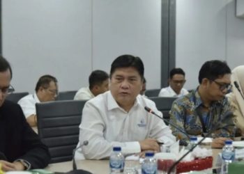 PT DI Targetkan Kuasai Teknologi Kunci untuk Pengembangan Drone Tempur MALE