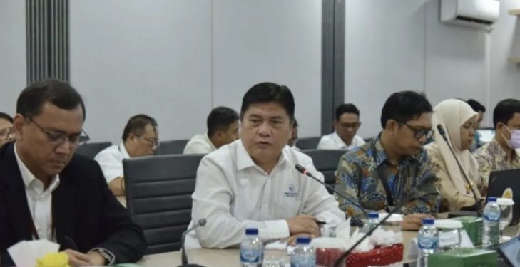 PT DI Targetkan Kuasai Teknologi Kunci untuk Pengembangan Drone Tempur MALE