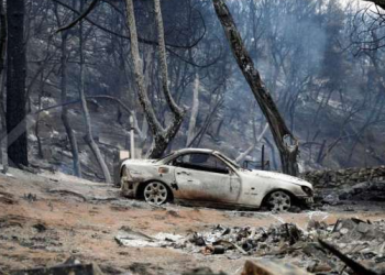 Kebakaran Dahsyat di Los Angeles: Ribuan Warga Dievakuasi, Kerusakan Meluas