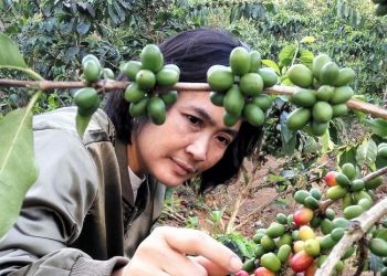 Dorong UMKM Kopi Garut Menuju Pasar Global dan Mandiri