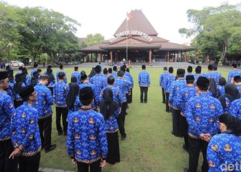 Kesempatan Emas: Pengangkatan CPNS & PPPK 2024