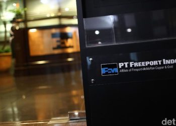 Penurunan Laba Freeport 2025: Penyebab dan Prospek Suram