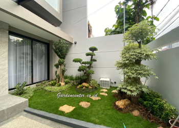 Kesalahan Umum Saat Menata Taman dan Cara Menghindarinya