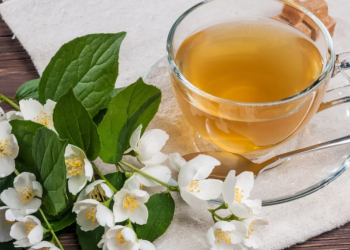 Dari Daun ke Daya Tahan: White Tea, Rahasia Kesehatan Alami dari Alam Tropis