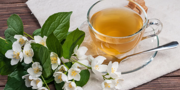 Dari Daun ke Daya Tahan: White Tea, Rahasia Kesehatan Alami dari Alam Tropis