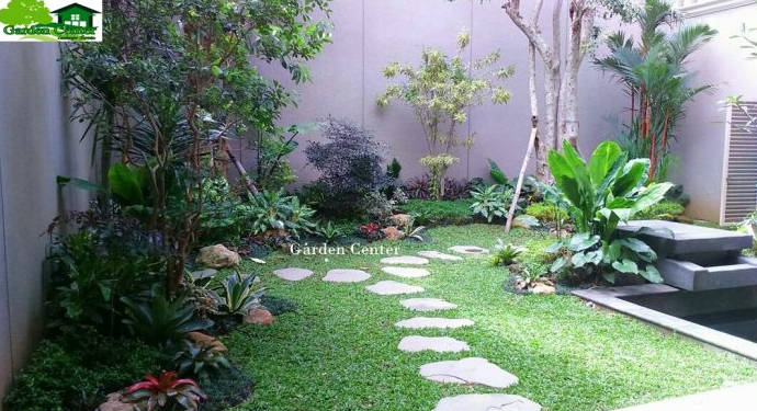 Kesalahan Umum dalam Membuat Taman Sendiri yang Harus Dihindari